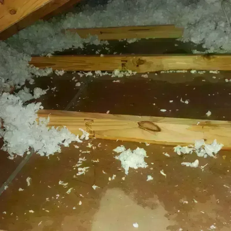 Attic Water Damage in Sun Prairie, MT